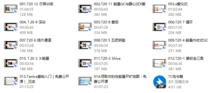 谭崔式性与爱  T20  14节全 - 文章缩略图